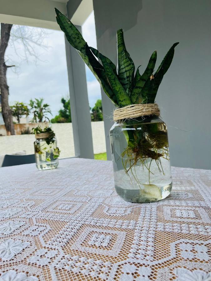 فيلا Casa Cinza بونتا دو أورو المظهر الخارجي الصورة